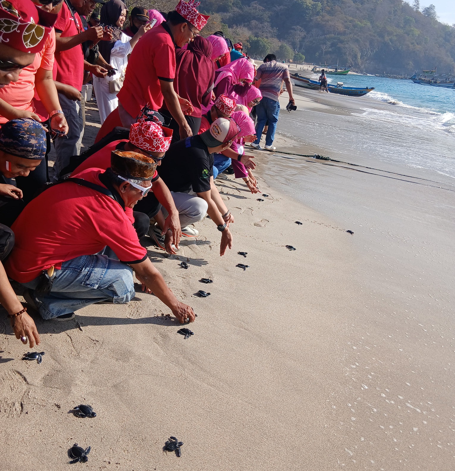 PELESTARIAN: Sejumlah tukik asal sumbangan dari Taman Nasional Meru Betiri dan Alas Purwo dilepas di Pantai Papuma, kemarin.