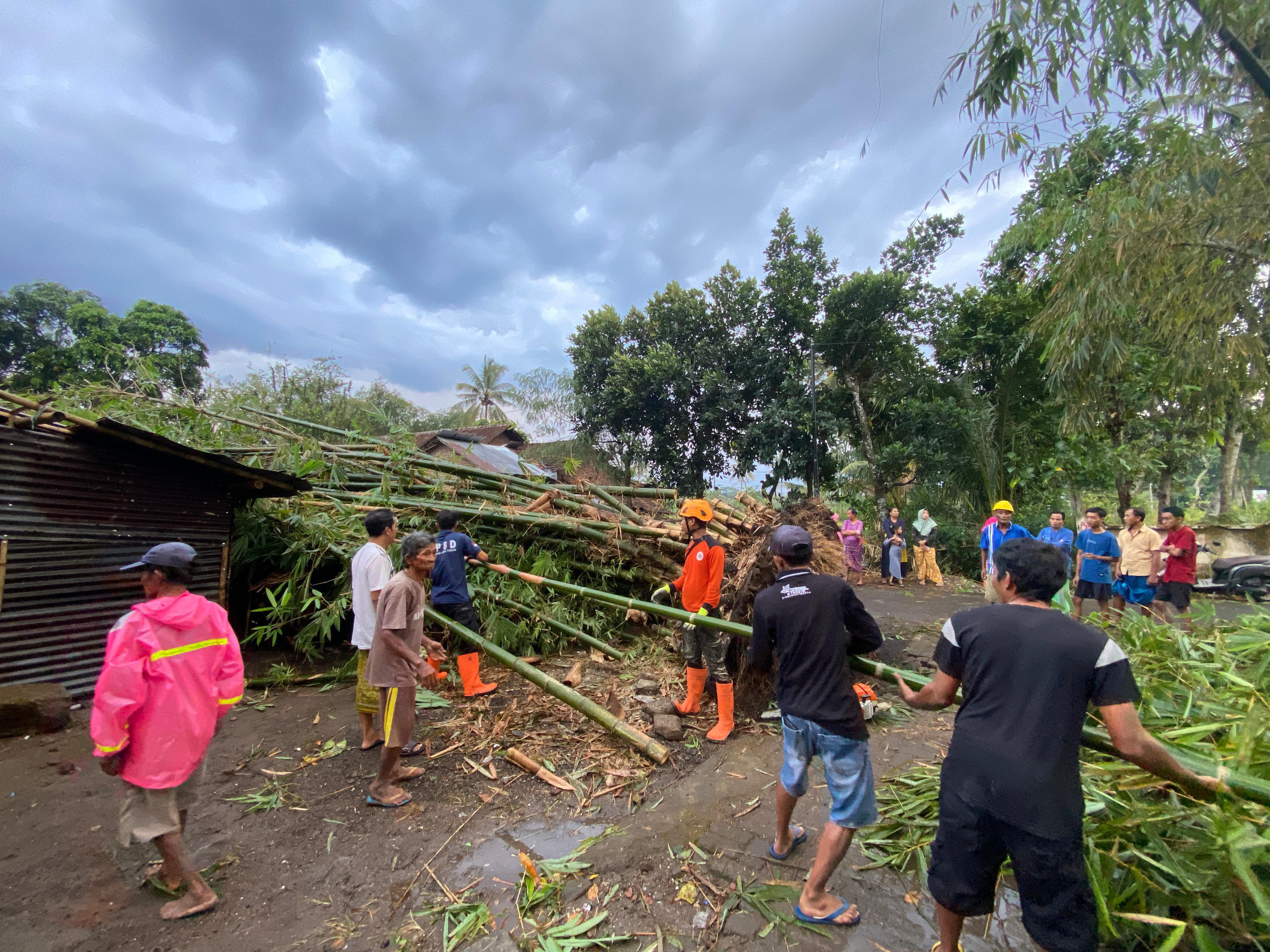 BEKERJA:petugas saat gotong royong evakuasi pohon tumbang akibat angin kencang (BPBD Bondowoso)