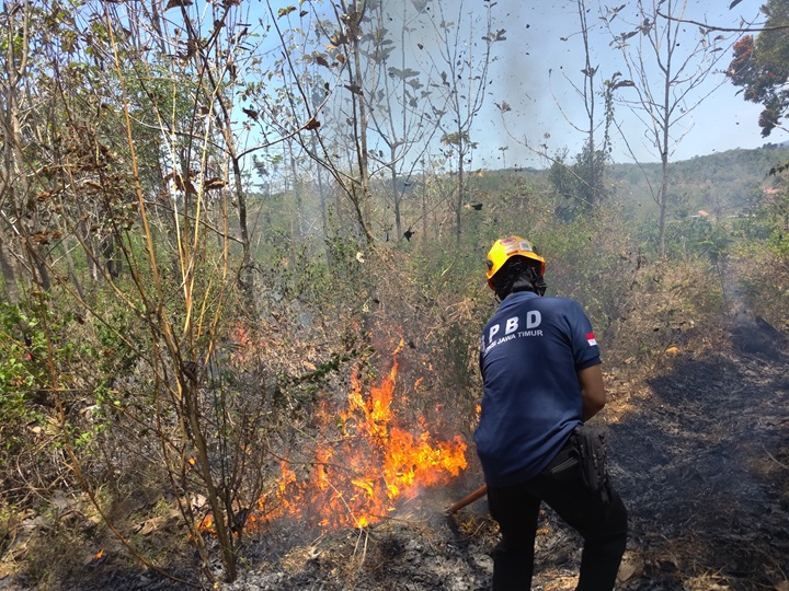 PADAMKAN API: Petugas BPBD Bondowoso saat berusaha memadamkan api yang melahap hutan beberapa waktu lalu.