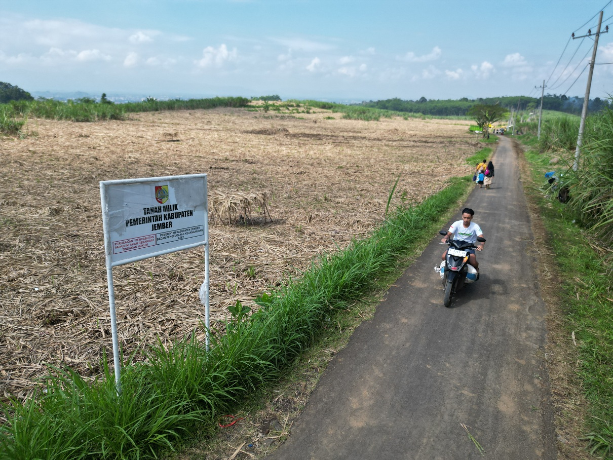 SEGERA PINDAH TANGAN: Kondisi lahan di bukit Mojang, Kelurahan Bintoro, Kecamatan Patrang. Rencananya, lahan yang kini ditanami tebu ini akan dihibahkan kepada polisi untuk SPN.