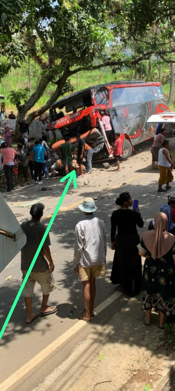 NYUNGSEP: Kondisi Bus PO Ind