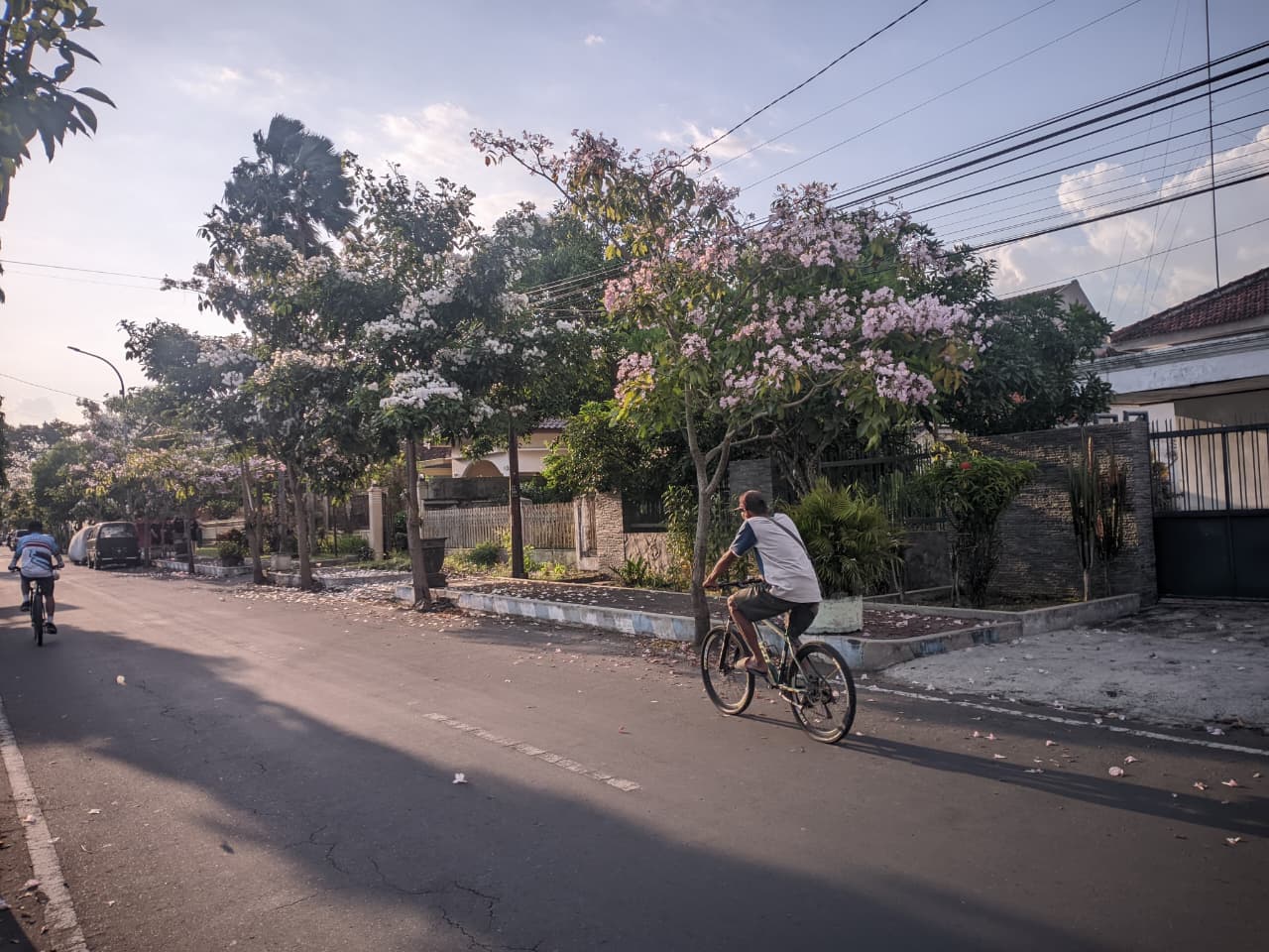 ALA-ALA JEPANG: Suasana sepanjang jalan Mayjen Sutoyo, Dabasah terdapat banyak pohon tabebuya yang bunganya sudah mulai bermekaran. Vibes ala jepang ini bisa menjadi wisata musiman di kawasan kota