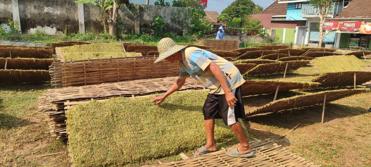 PROSES PENGERINGAN: Proses pengeringan tembakau jadi salah satu tahapan penting. Yakni mengembangkan aroma serta teksturnya melalui cara alami. (AFFAN KURNIAWAN)