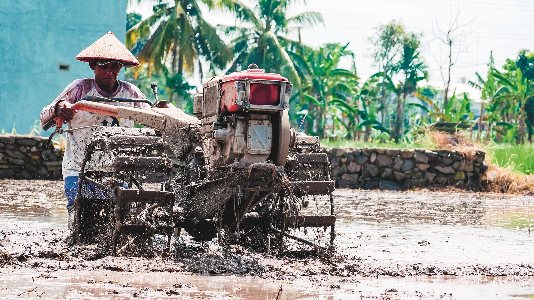WAKTUNYA NAIK KELAS: Salah satu petani mengoperasikan traktor di lahan persawahan di Kranjingan, Sumbersari.
