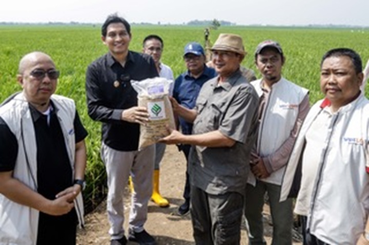 LABORATORIUM HIDUP: Dari kiri, Bupati Indramayu Lucky Hakim, perwakilan tim percepatan pembangunan Indramayu Joni Eko Saputro, Kepala Dinas Pertanian Kab. Indramayu Sugeng Heryanto, Ketua Gapoktan