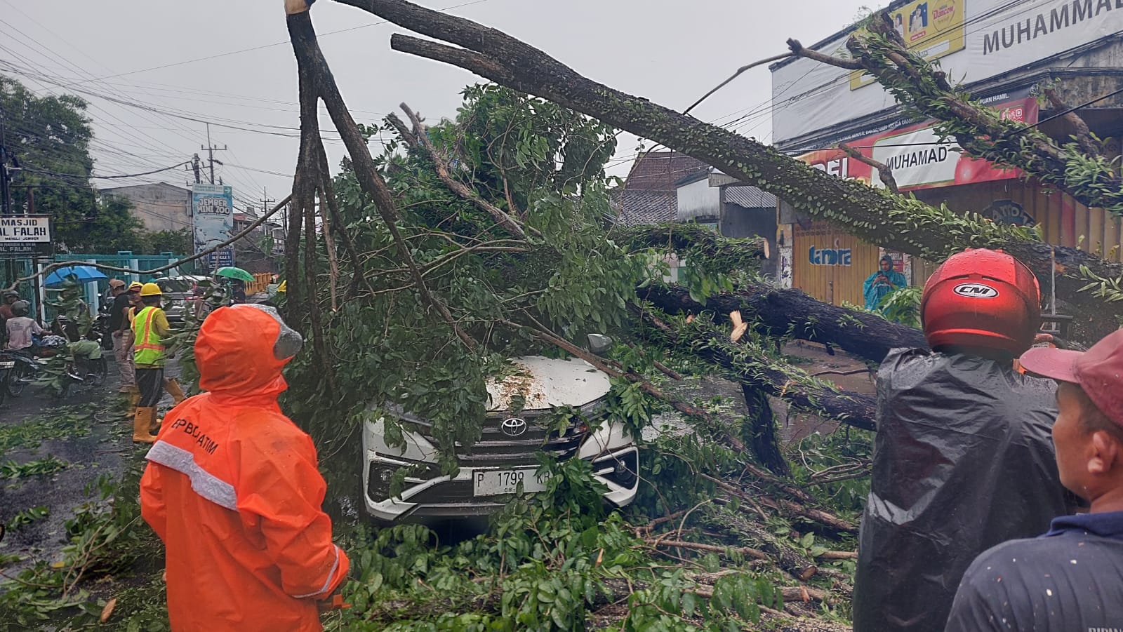 TERTIMPA POHON: Hujan dan angin kencang di wilayah kota Jember sore tadi menimpa beberapa kendaraan. (JUMAI/RJ)