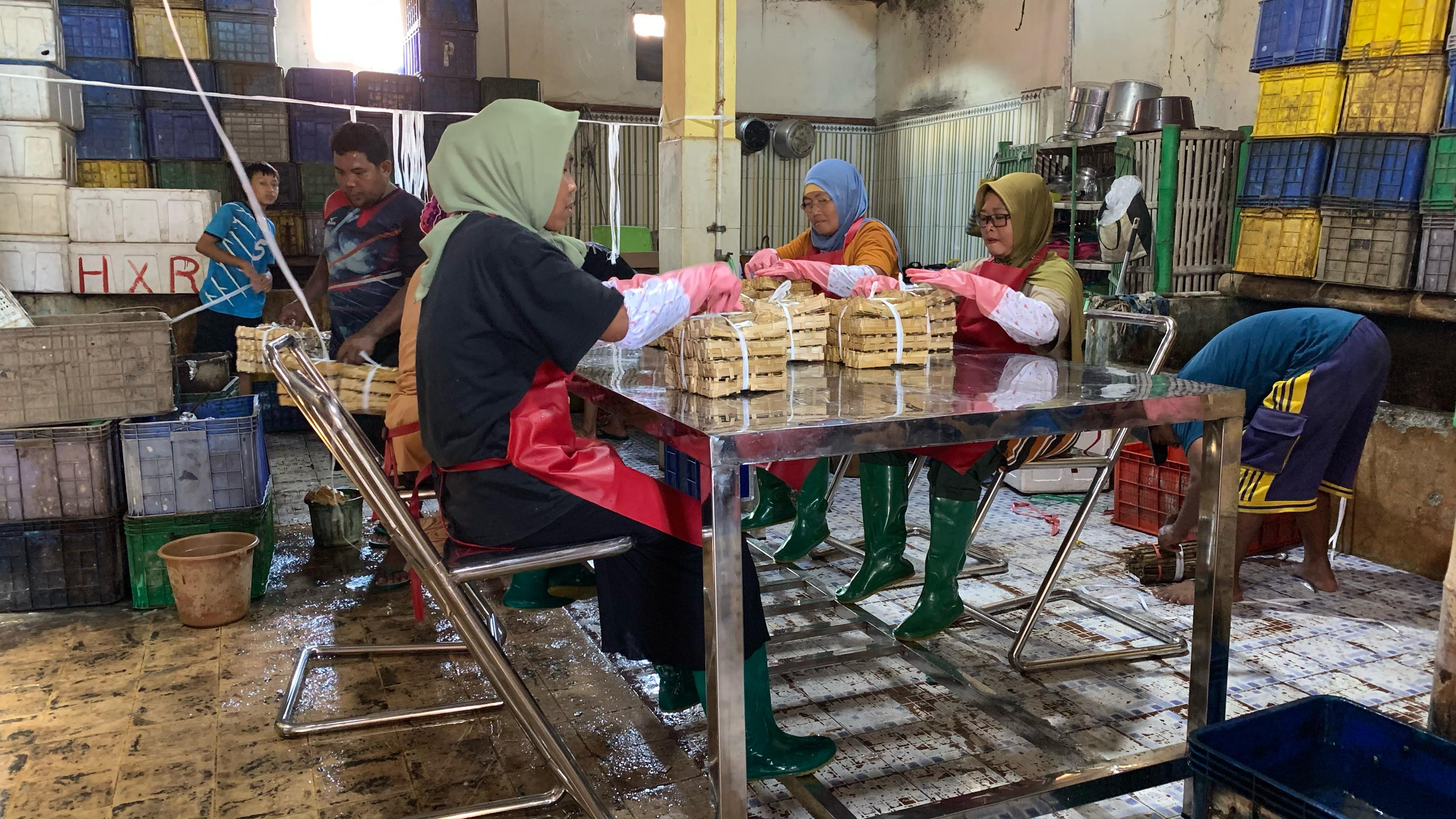 Penggunaan APD dan Alat Kerja Ergonomis