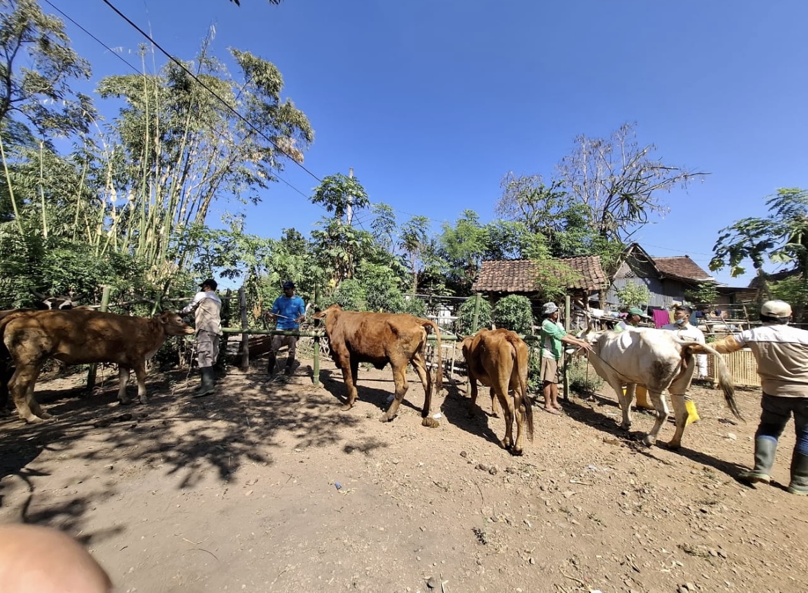 BERAKTIVITAS: Para peternak hewan pilih berdagang di pasar kademangan ketimbang di Silolembu. (FAQIH HUMAINI/RADAR IJEN)