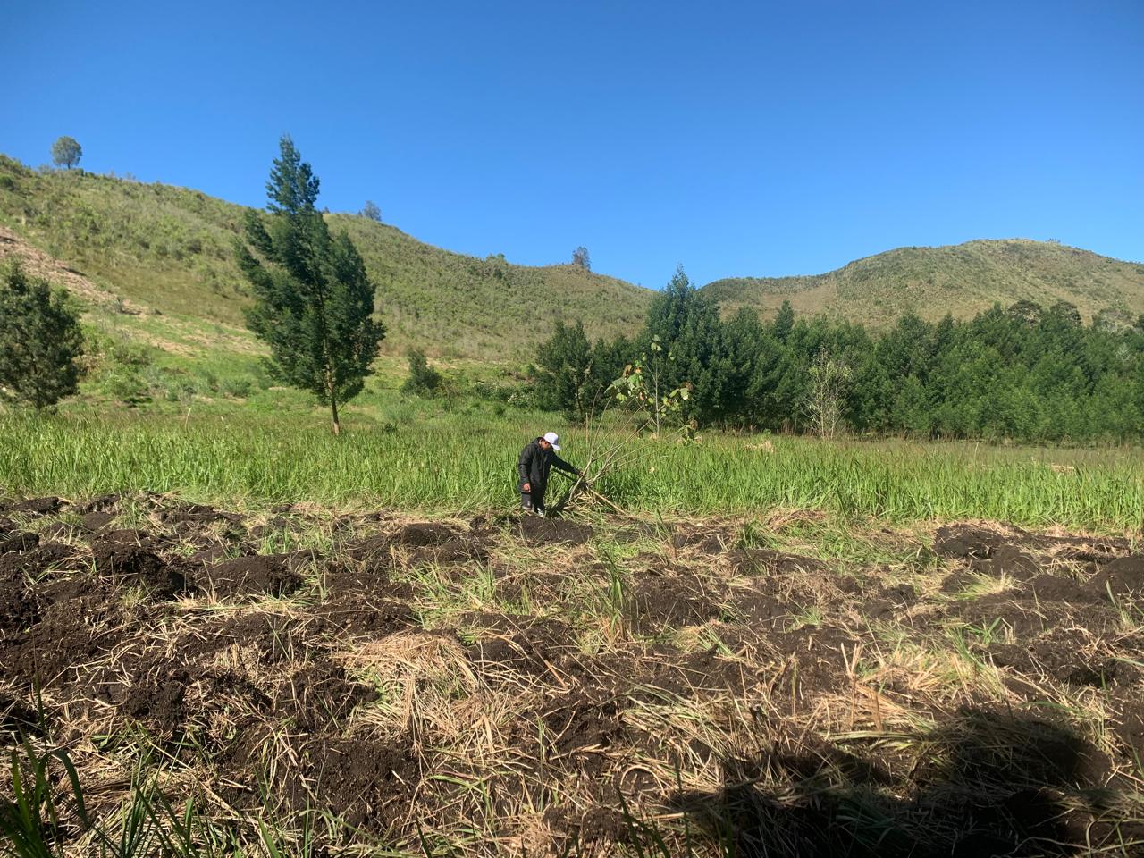 BELUM TUNTAS: Salah satu kondisi lahan perkebunan di wilayah Kecamatan Ijen. Konflik lahan antara warga setempat dan pihak terkait seakan belum selesai 100 persen.