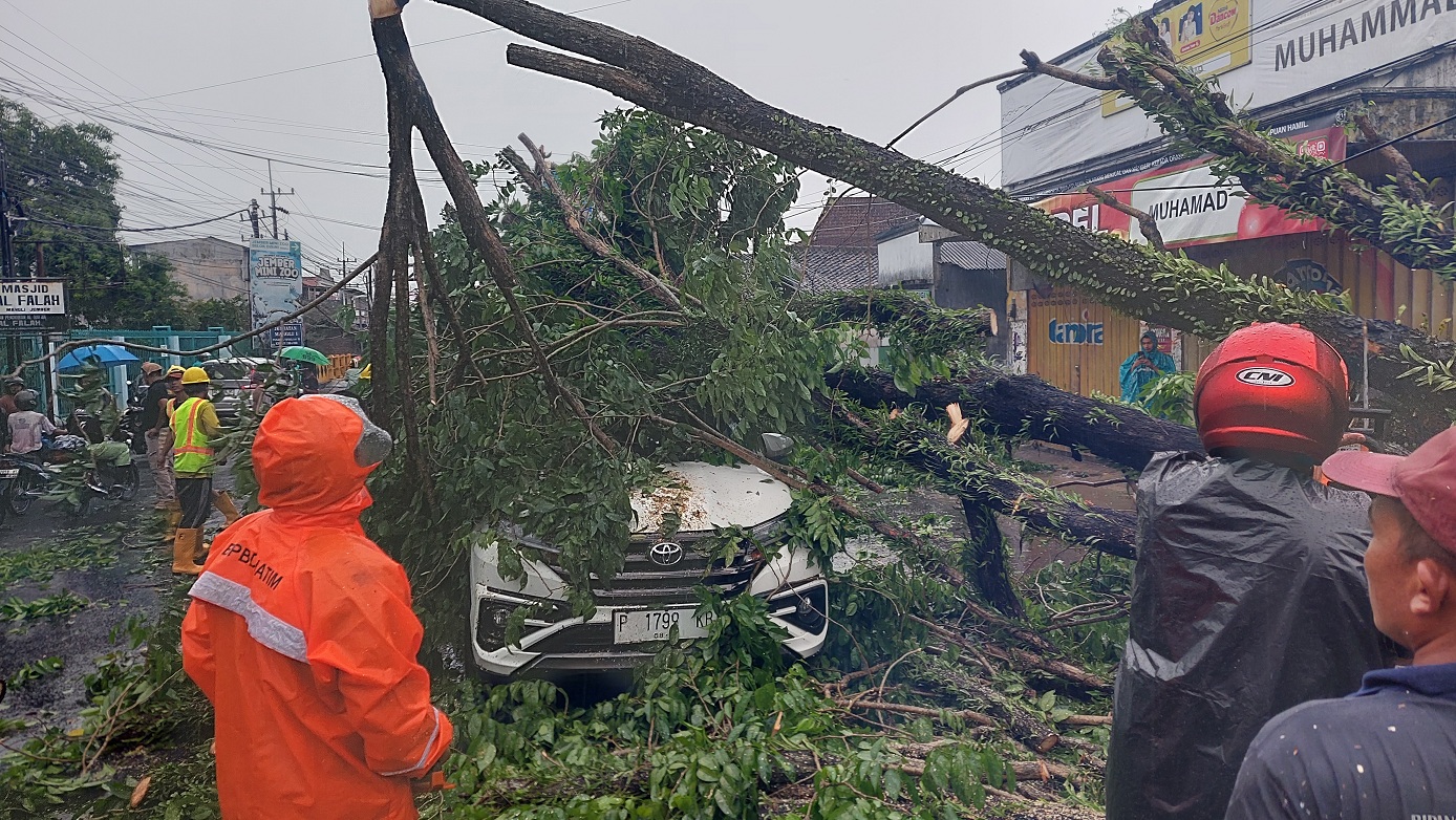 BERBAHAYA: Pohon tumbang mengenai mobil milik warga akhir September lalu.