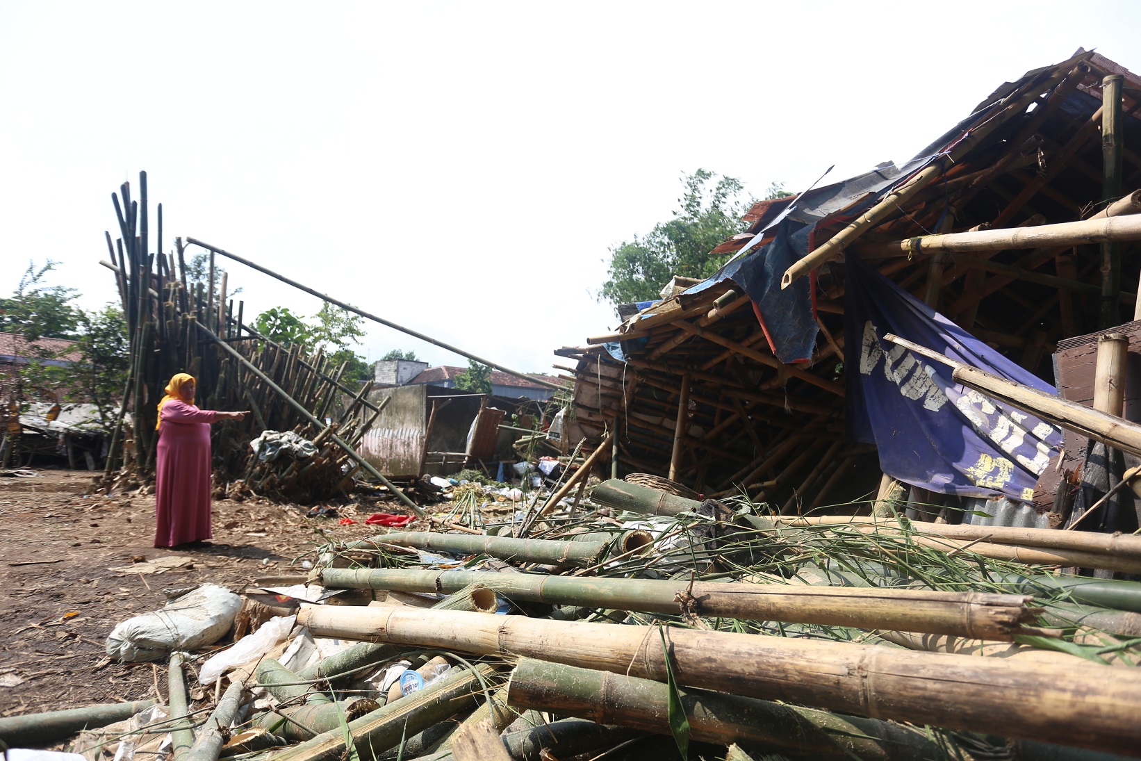 BERBAHAYA: Halimatus Sa&rsquo;diyah, menunjukkan lokasi lokasi bambu yang roboh dan menimpa bapak anak hingga tewas, Senin (13/10).