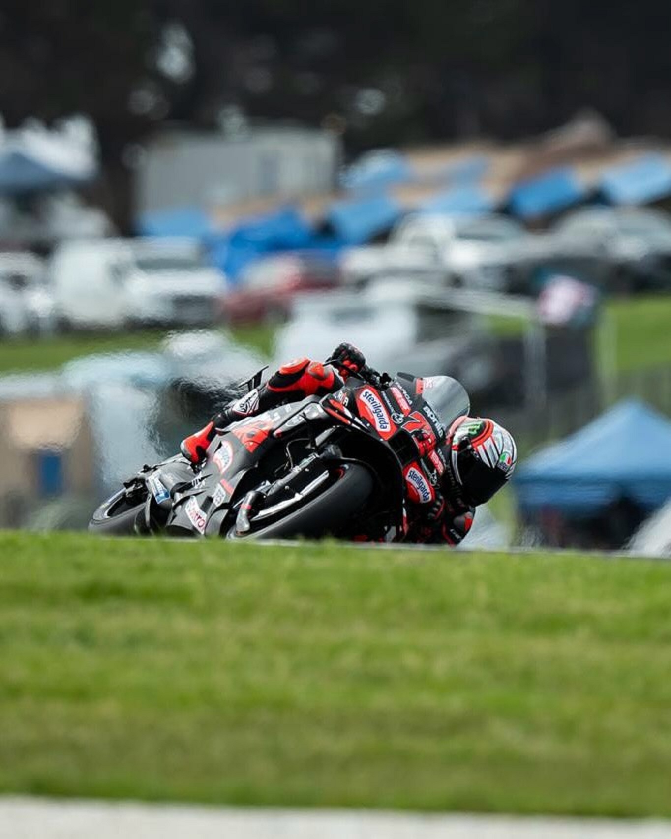 Marco Bezzecchi, Aprilia, di Sirkuit Phillip Island, Australia. Kini Bezzecchi berada di peringkat ketiga klasemen dunia, menggeser bagnaia,