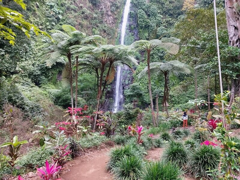 Menjauhi Hiruk Pikuk: Air Terjun Tancak, Destinasi Healing Terbaik Jember Di Kaki Gunung Argopuro