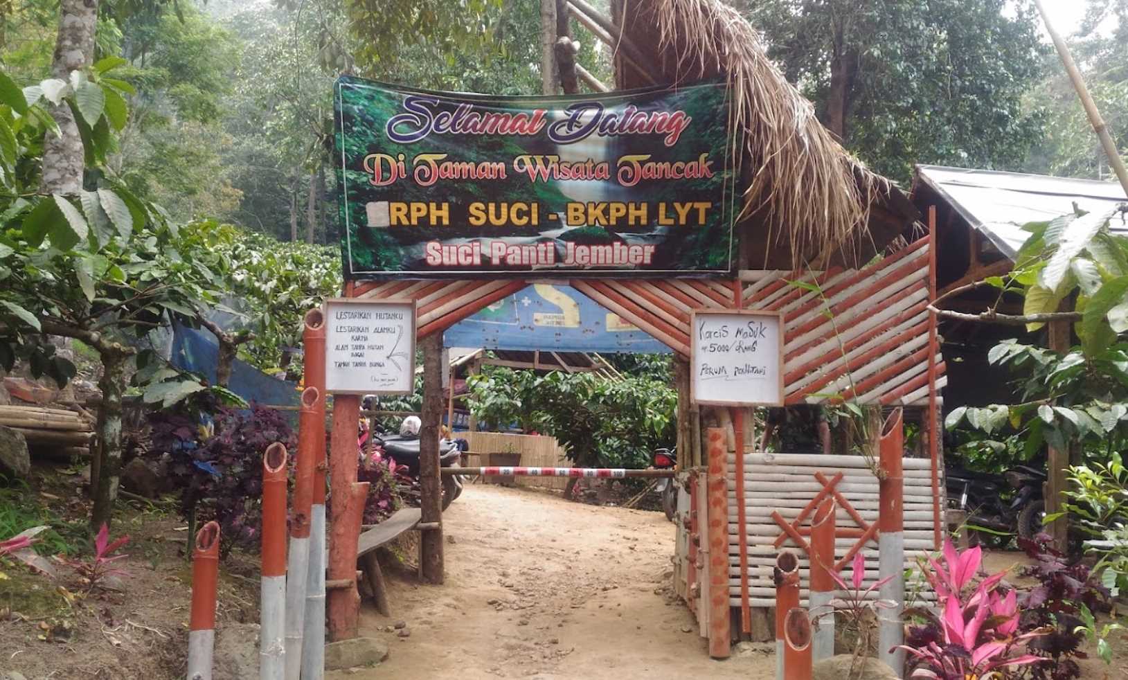 Alam Air Terjun Tancak (foto diambil dari gresiksatu news)