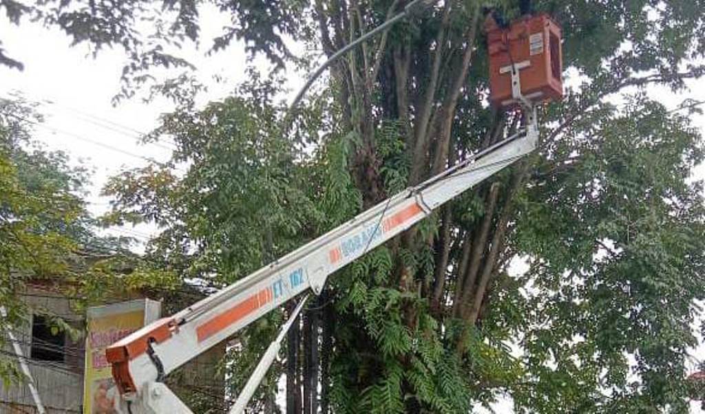 Petugas memangkas pohon di jalan Jember (Foto: Muh Slamet Hariyadi)