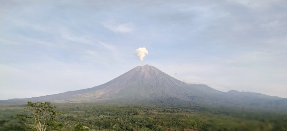 ERUPSI: Kondisi Gunung Semeru saat mengalami erupsi di pagi hari, dengan tinggi letusan hampir mencapai 1000 meter.(PETUGAS PPGA)