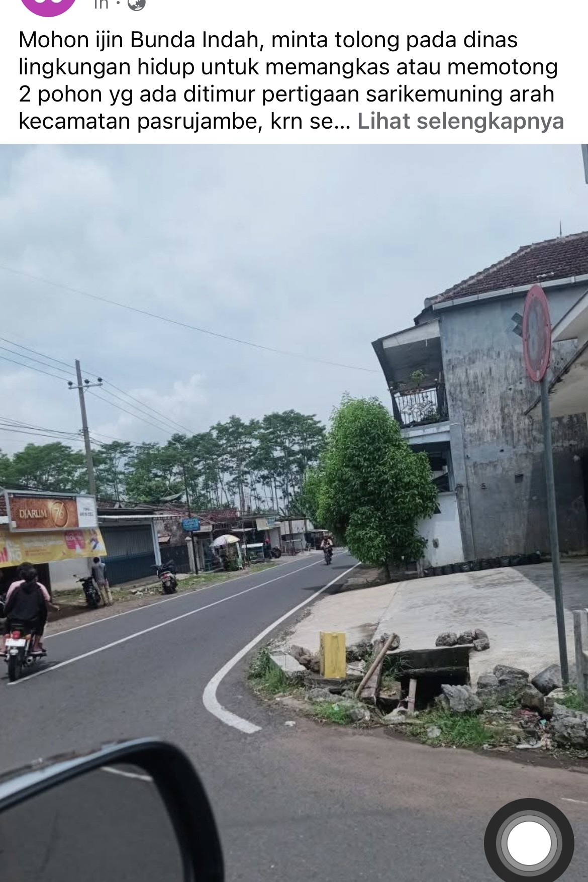Kondisi pohon dipinggir jalan Senduro-Pasrujambe, Lumajang menghalangi penglihatan pengguna jalan.