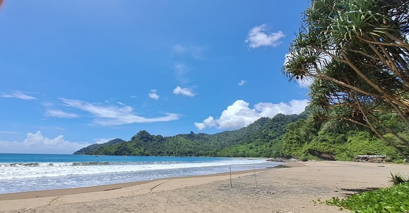 Pantai Bandealit di Jember mungkin belum banyak diketahui orang