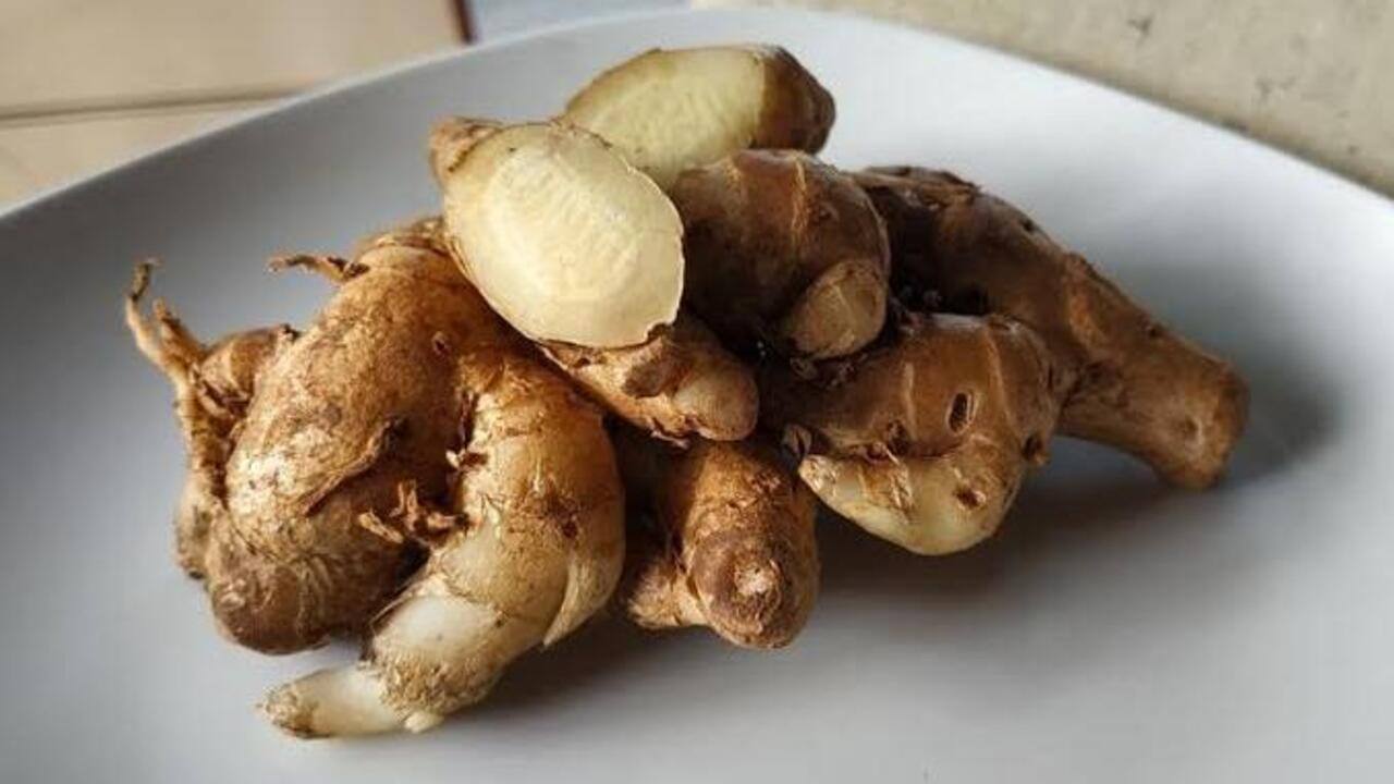 Kencur, merupakan salah satu cita rasa yang sering sekali digunakan pada masakan khas Tanah Sunda  karena otentik dengan cita rasa yang kuat. (Palpos.id)
