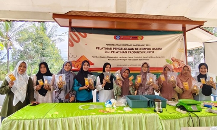 SIMPLISIA NABATI: Tim PKM dan UNIBO 2025 menghasilkan produk baru dengan nilai jual lebih tinggi, berupa kunyit kering dan bubuk kunyit
