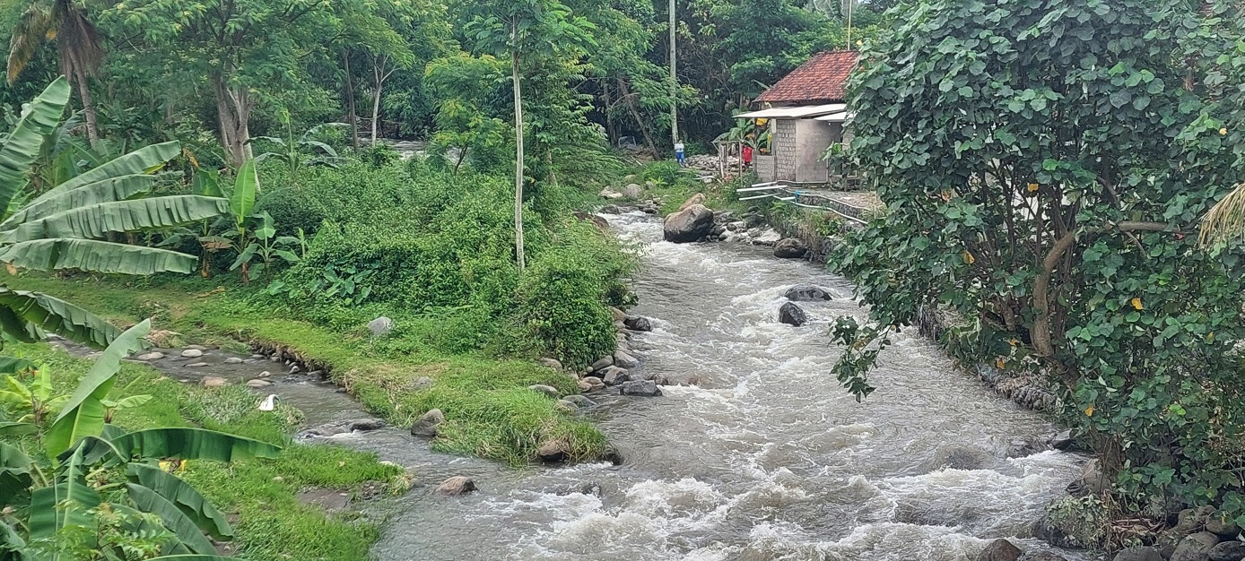 DUA KALI TERDAMPAK: Rumah Haris dan Mistiyono warga yang rumahnya ada di sekitar bantaran Sungai Petung, Desa Pakis, Kecamatan Panti yang sudah dua kali terdampak banjir.