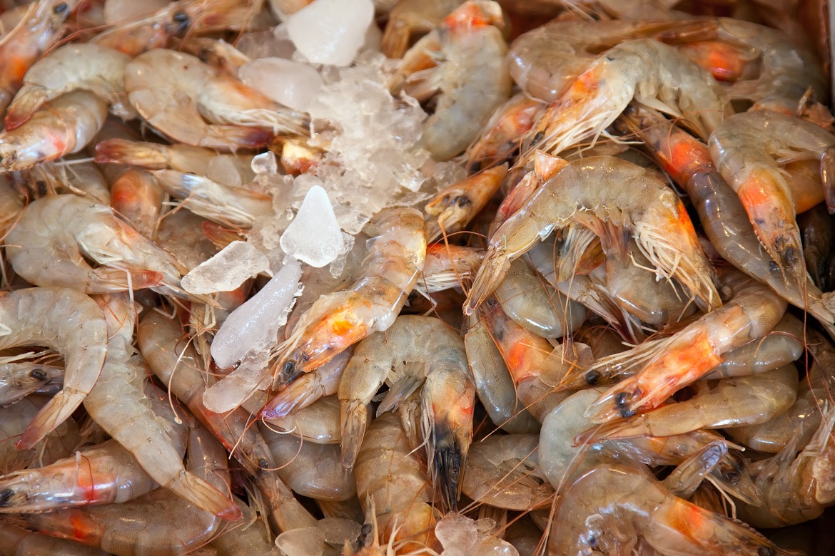 Foto ilustrasi - DPR desak Kemenperin soal keamanan udang beku di pasar lokal.
