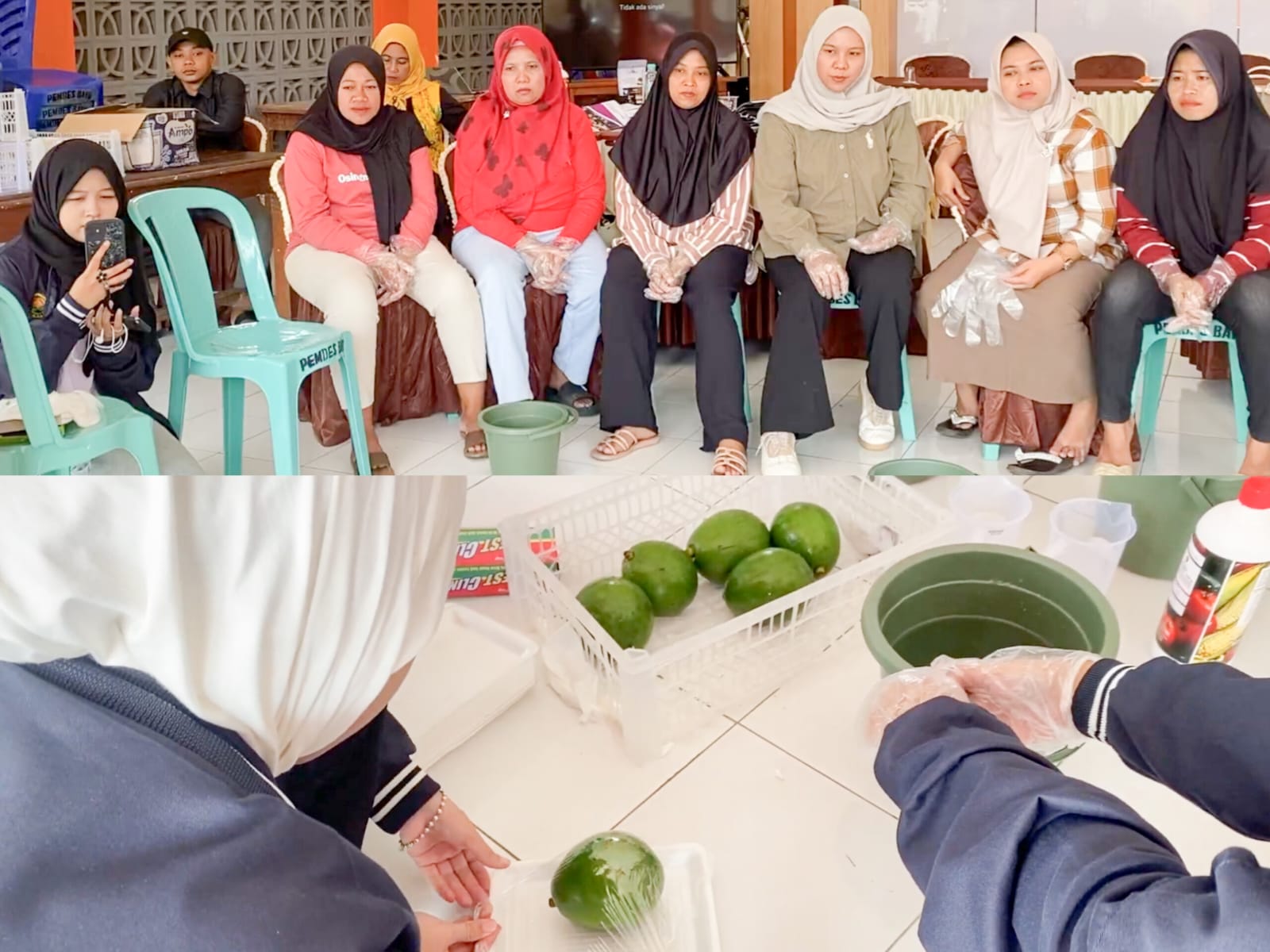 Pelatihan pasca panen buah-buahan