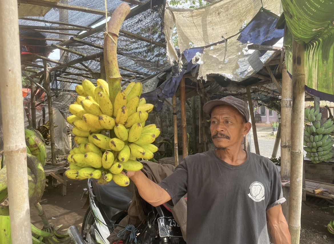 MELIMPAH: Stok pisang mas kirana di pasar kian melimpah tapi harga jualnya anjlok.(ADE APRYANIS/RAME)