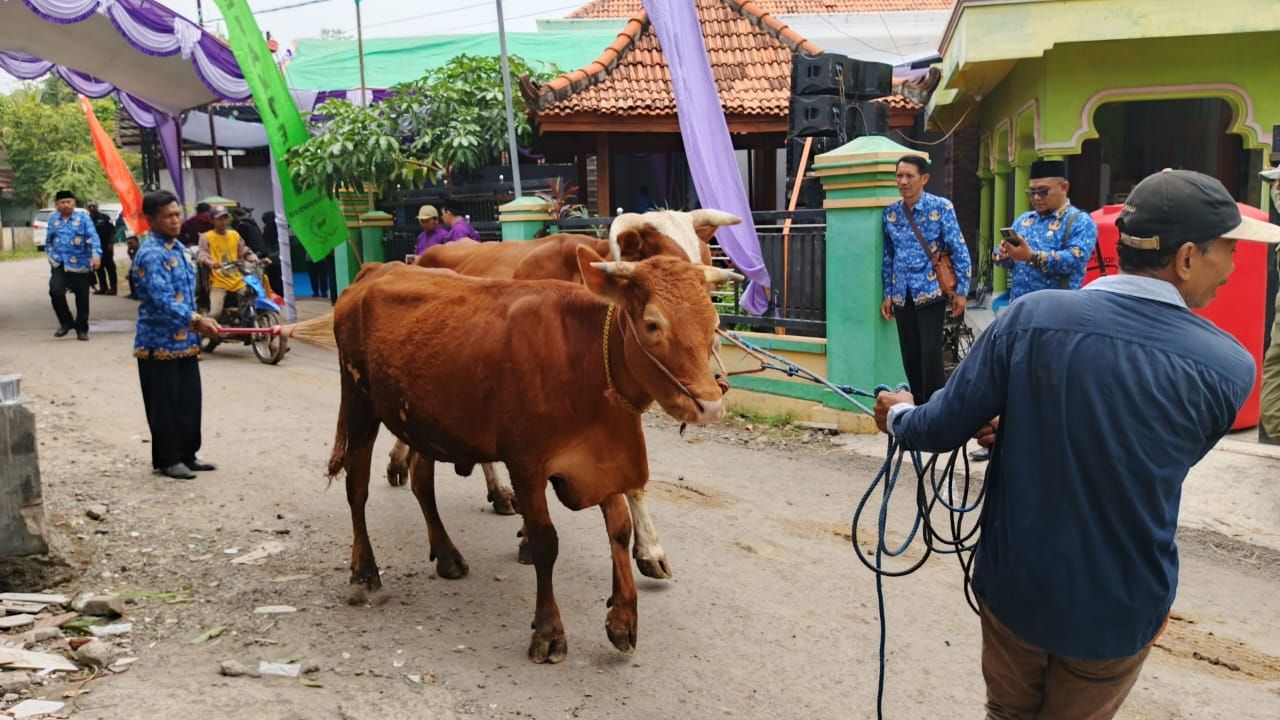 MELIMPAH: Salah seorang warga membawa hewan ternaknya untuk mendapat pengobatan gratis.