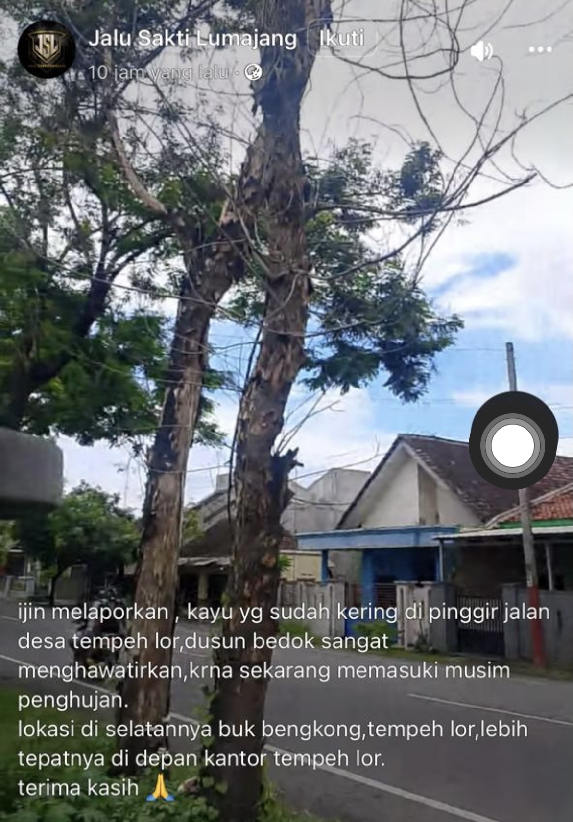Kondisi pohon kering di Tempeh Lor yang butuh penanganan.