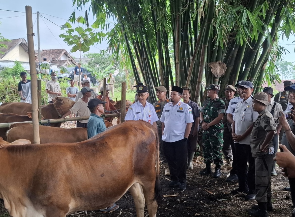 DIPANTAU: Wakil Bupati Bondowoso As&rsquo;ad Yahya Syafi&rsquo;i saat melihat proses pemeriksaan hewan di Sumber Wringin.(ILHAM WAHYUDI/RADAR IJEN)