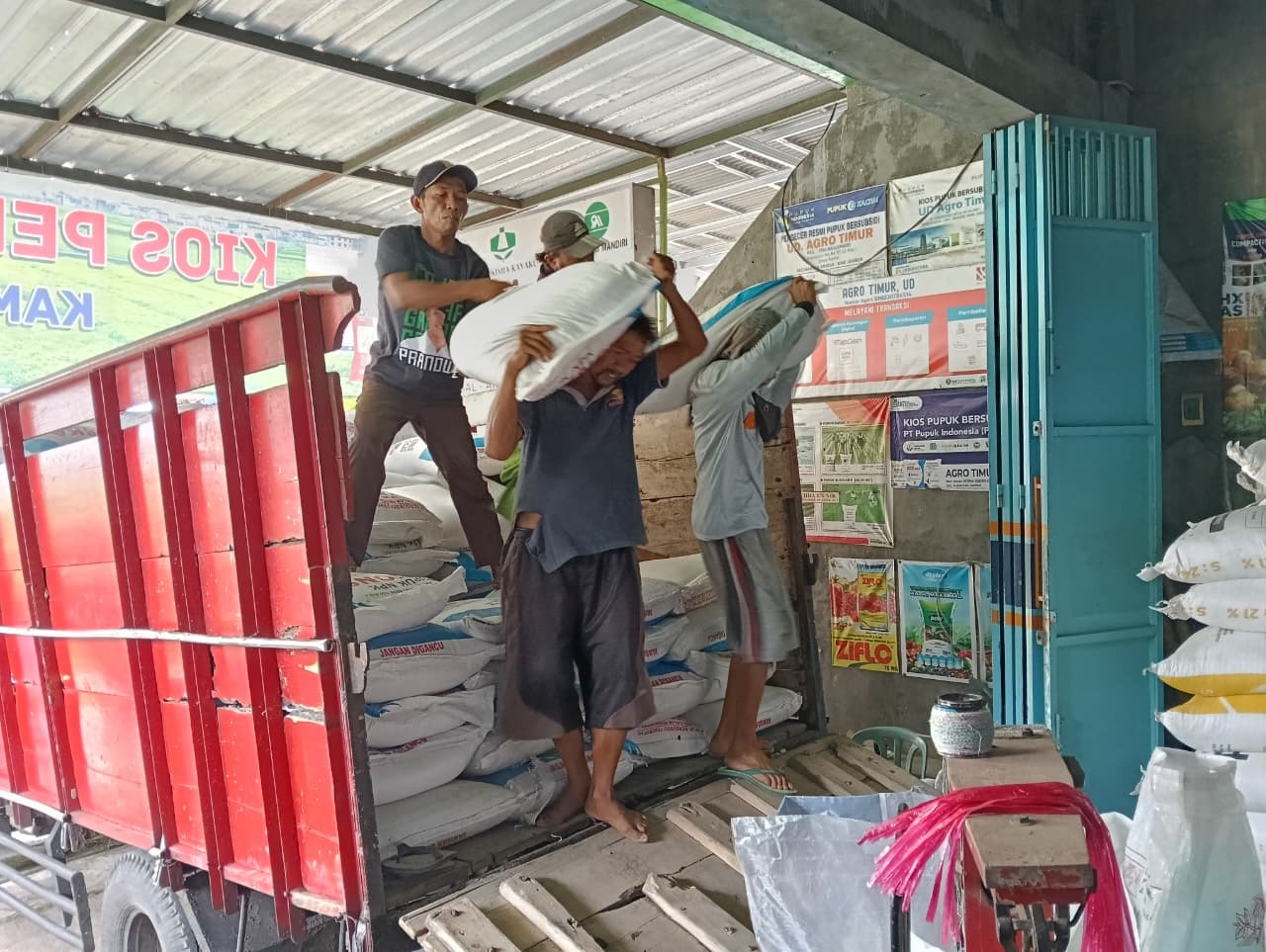 TERUS BEKERJA: Pekerja menurunkan pupuk subsidi di salah satu kios di Desa Kamal, Kecamatan Arjasa, beberapa waktu lalu. Hingga akhir November, serapan pupuk subsidi disebut sudah mencapai 91 persen.