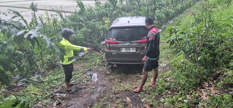 MASUK KE SAWAH: Mobil Sigra mengalami kecelakaan tunggal dan masuk ke areal persawahan di Kecamatan Kencong.