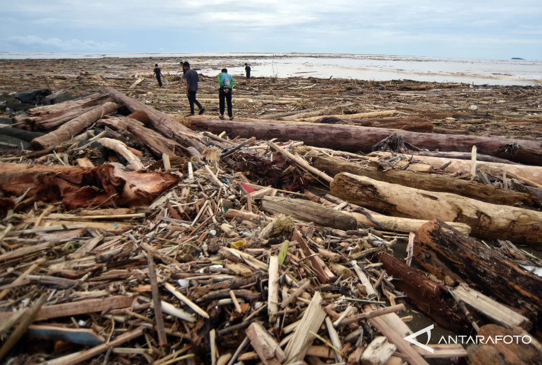 Kemenhut, Polri, hingga Kejagung mulai selidiki soal kayu gelondongan di banjir Sumatera.