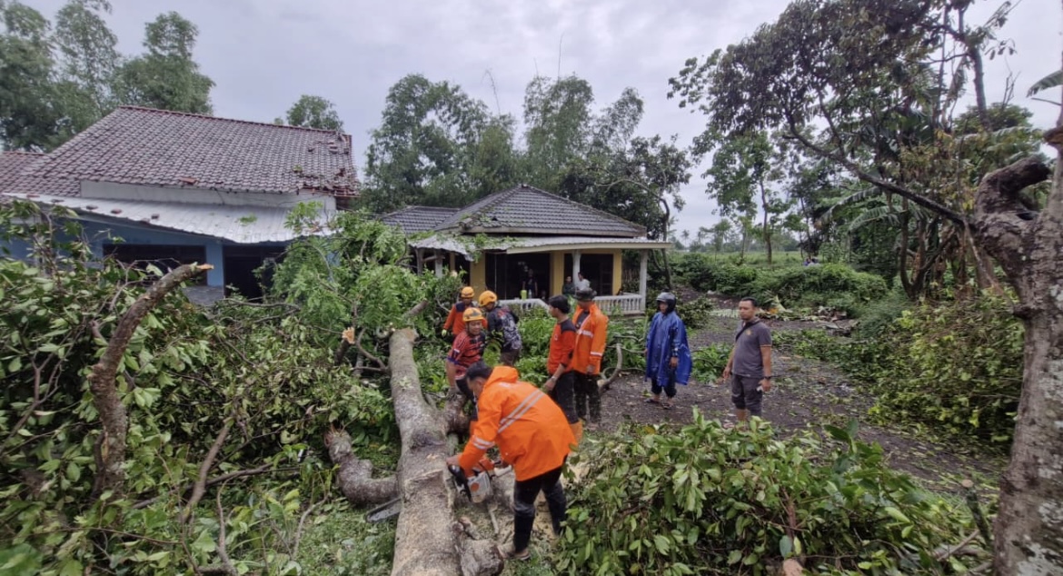 BERJIBAKU: Petugas BPBD Bondowoso memotong kayu yang melintang di jalan hingga menimpa rumah warga, kemarin.(BPBD BONDOWOSO FOR RADAR IJEN)