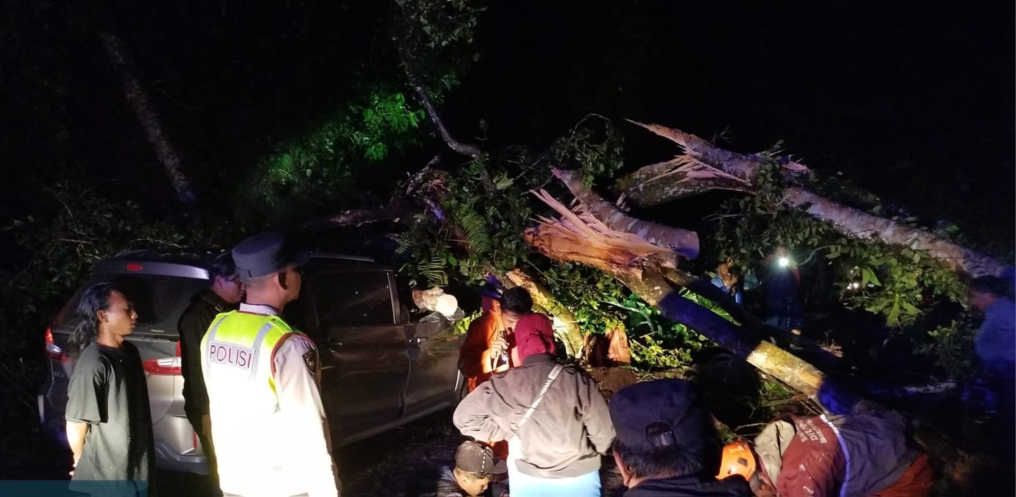PROSES EVAKUASI: Petugas Polsek Silo bersama Relawan Gumitir dan TRC BPBD Jember melakukan proses evakuasi mobil yang tertimpa pohon, Sabtu (6/12) malam.