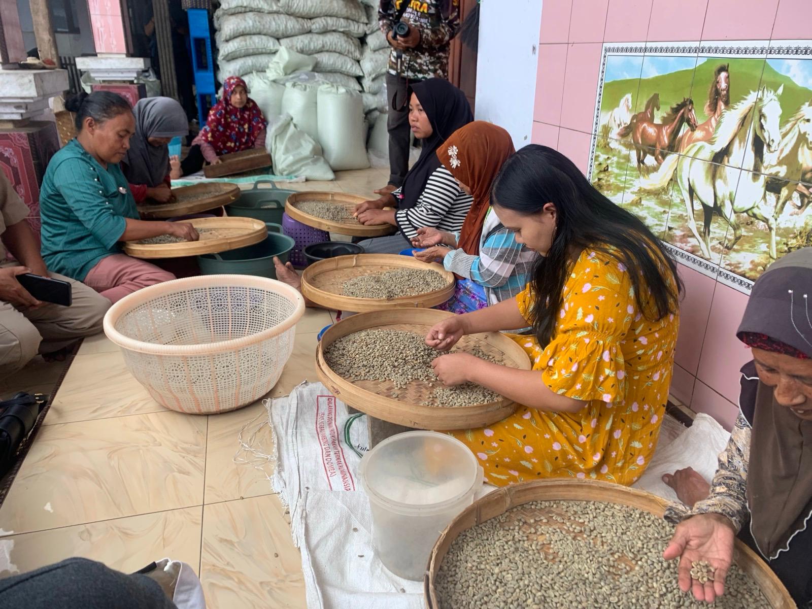 JADI ANDALAN: Sejumlah ibu-ibu pekerja kopi ketika memilah-milah biji kopi terbaik. Sebelum dikemas dan dikirim ke sejumlah kota luar Bondowoso bahkan ekspor luar negeri.