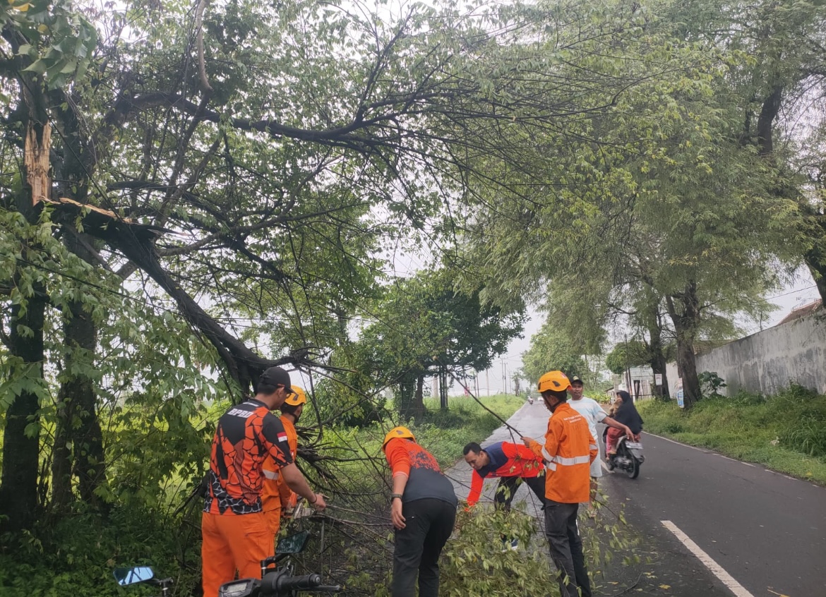 MEMOTONG: Petugas saat mengevakuasi pohon tumbang akibat angin kencang, kemarin (7/12) sore.(BPBD BONDOWOSO FOR RADAR IJEN)