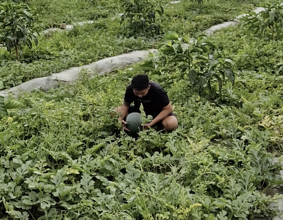 BERKAH: Pelaku UMKM di Lumajang terus-terusan ketiban berkah program makan bergizi gratis (MBG).(ADE APRYANIS/RAME)