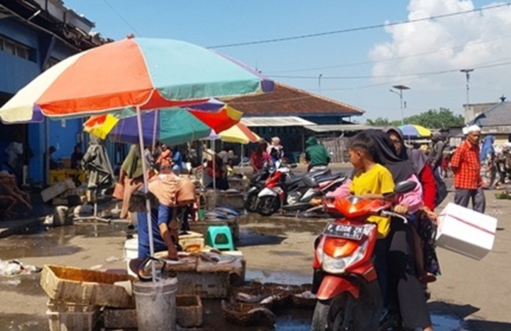 HARGA IKAN NAIK: Terjadinya cuaca ekstrem seperti angin barat berpengaruh dengan harga ikan di TPI Puger