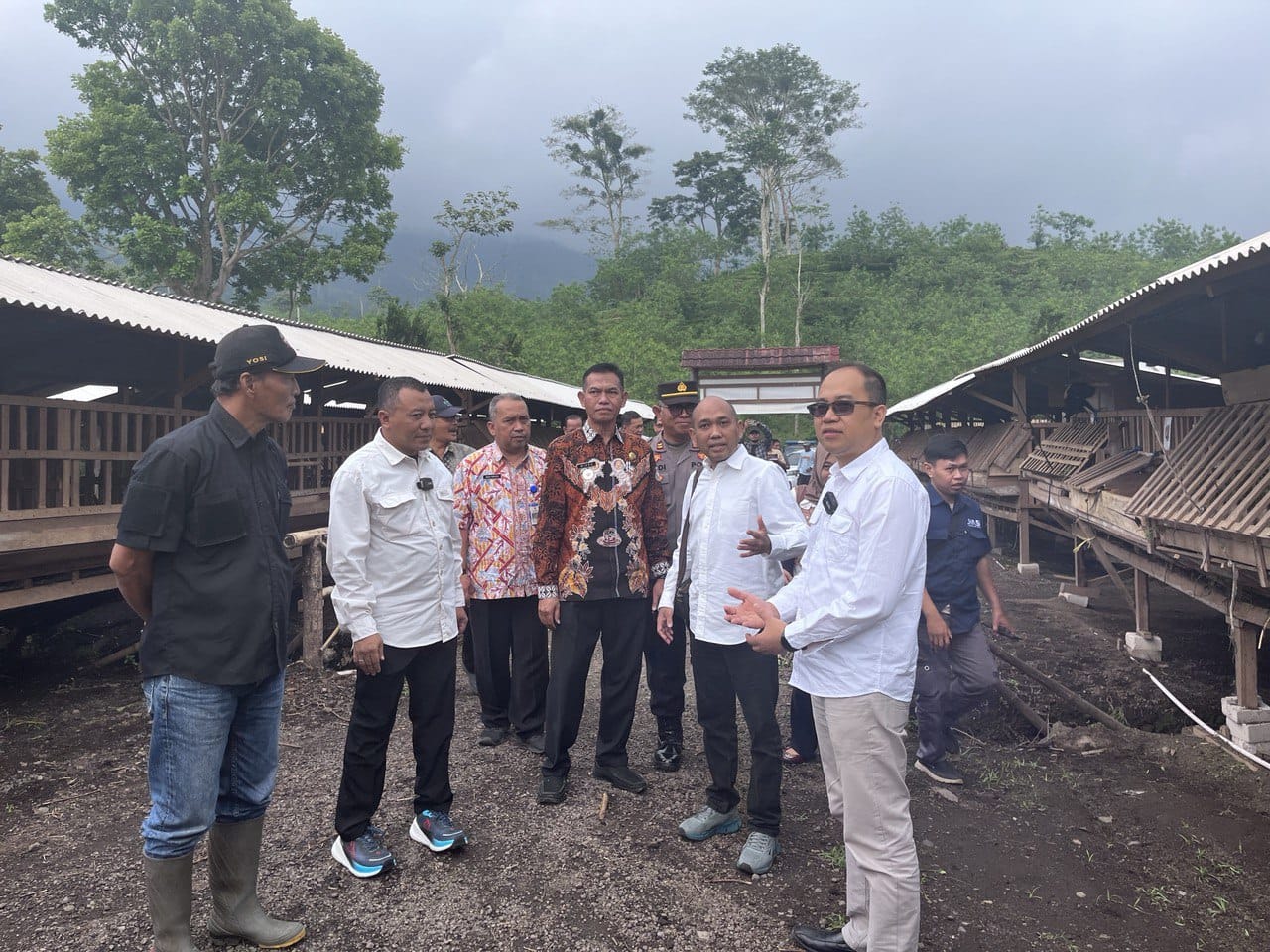 TINAJU LOKASI: beberapa pihak dari PTPN I Regional 5 saat mengunjungi kandang komunal wilayah Ijen (PTPN)