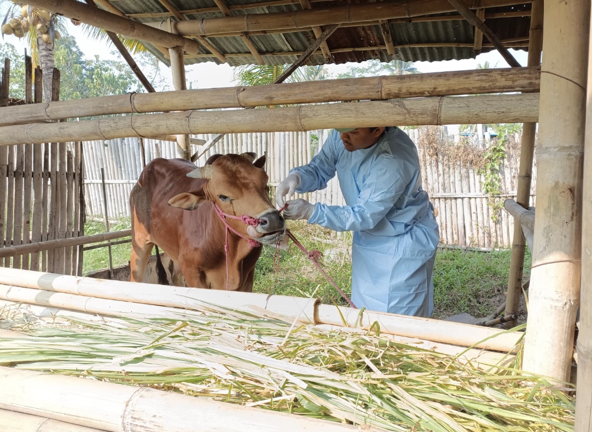 AKTIVITAS PASAR: Pedagang dan pembeli kembali memadati  salah satu pasar  usai perubahan jadwal pasaran.(FAQIH HUMAINI/RADAR IJEN)