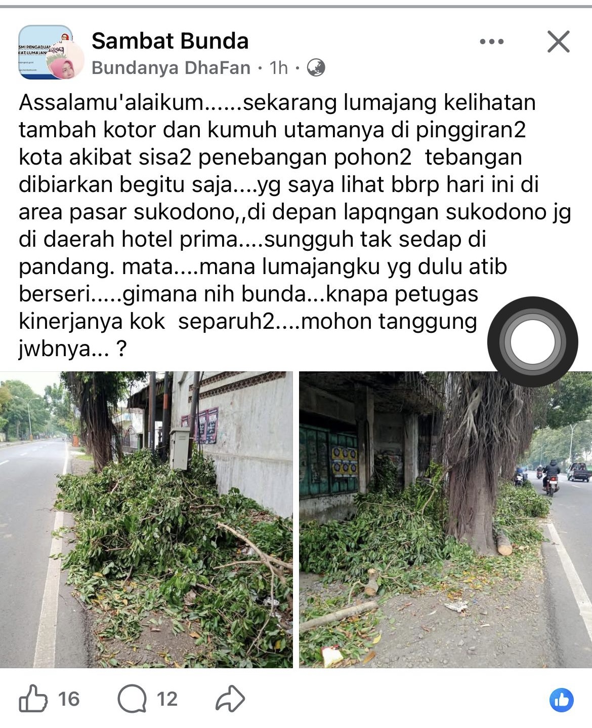 Tangkap layar kondisi sisa pemangkasan pohon di pinggir jalan.