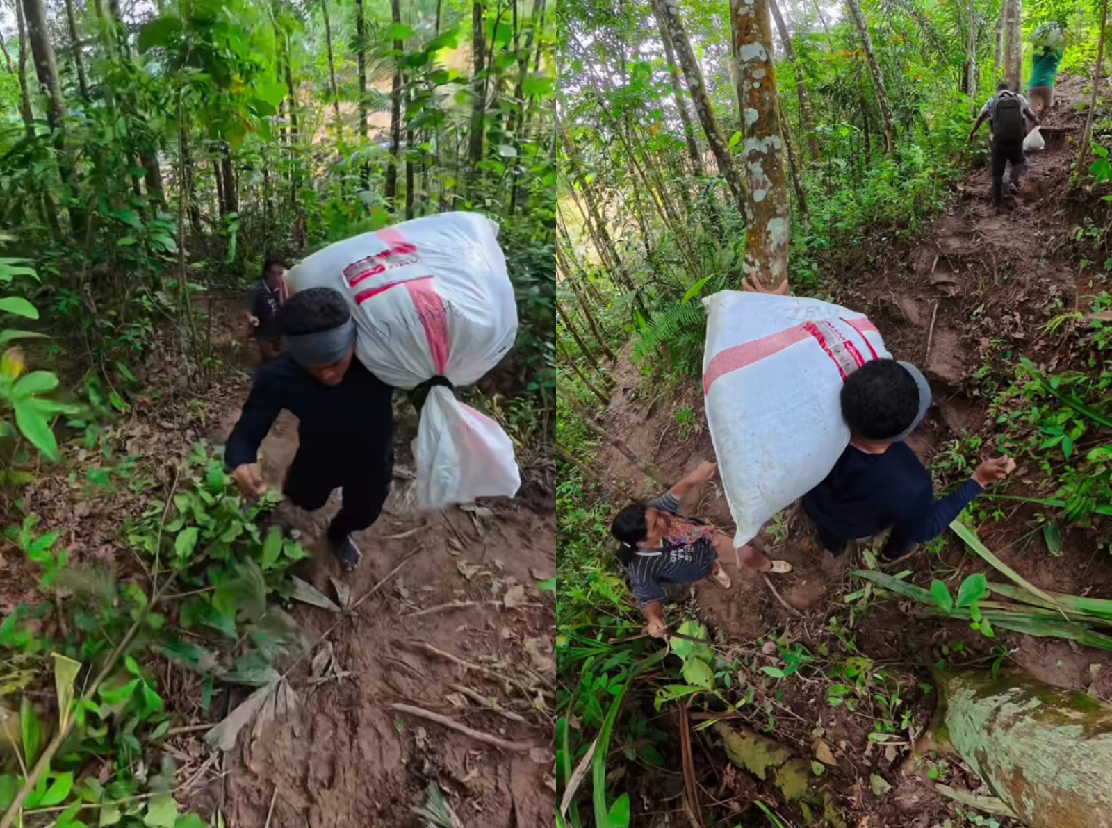 Warga Desa Simaninggir, Kecamatan Sitahuis, Tapanuli Tengah harus melewati hutan untuk mengambil bantuan. (Instagram/rizkisiahaan_)