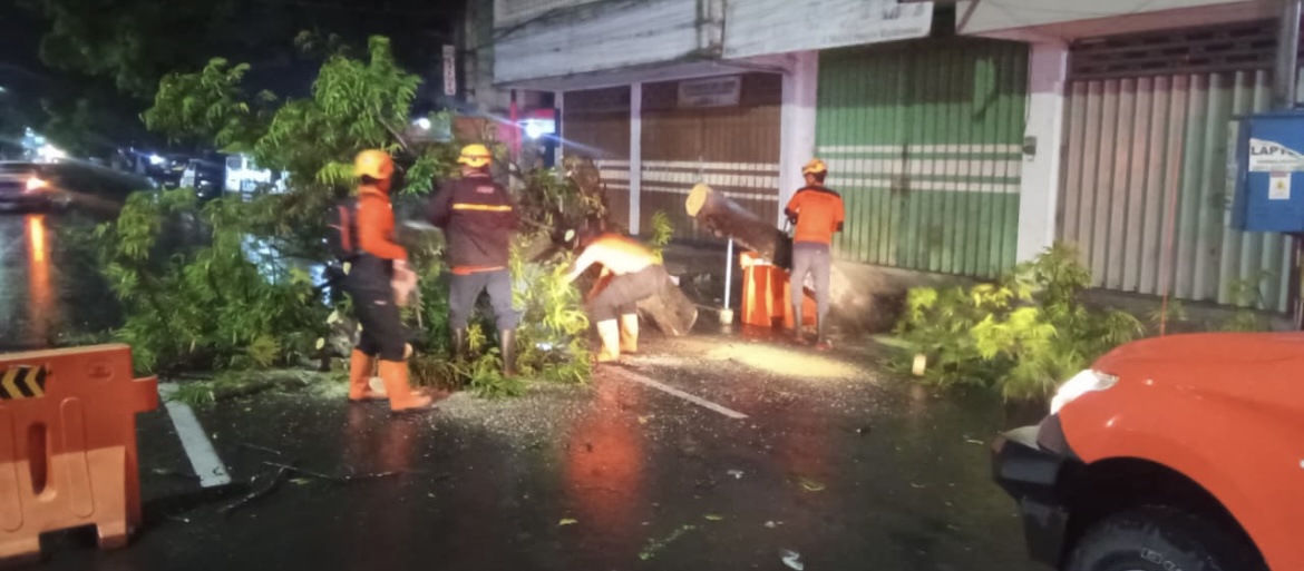 DITEBANG: Petugas saat menebang pohon tumbang yang mengganggu akses pengendara, kemarin (21/12) malam.(BPBD BONONDOWOSO)