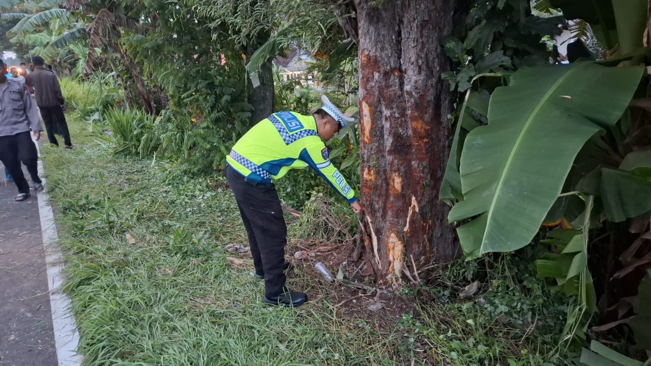 DATANGI LOKASI: Mobil Wuling B 2313 PFP disopiri Judis, warga Desa Jatisari, Kecamatan Tempeh, Lumajang setelah menabrak pohon asam