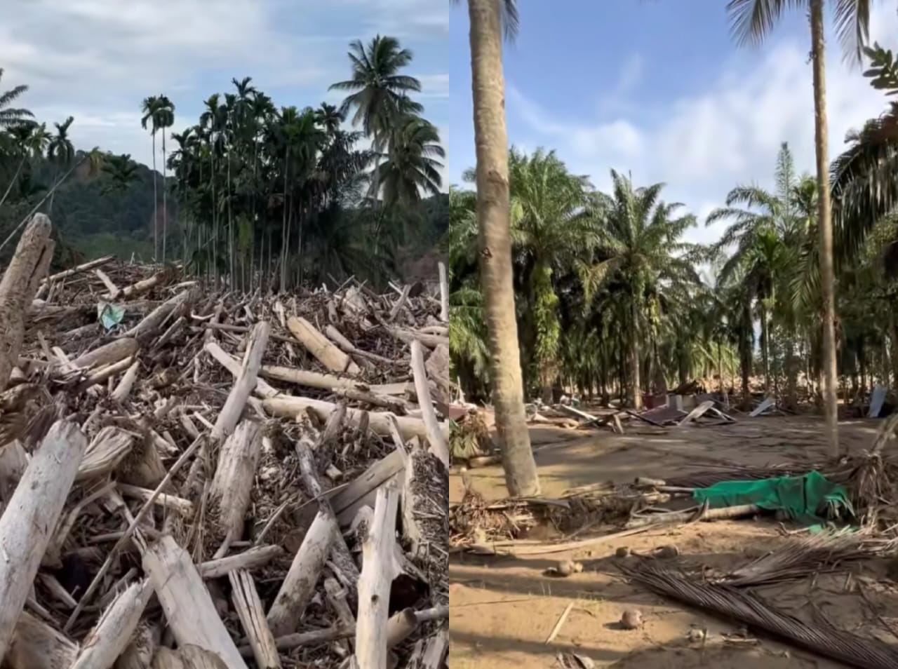 Kondisi Aceh Tamiang yang masih dipenuhi dengan tumpukan kayu pascabanjir bandang. (Instagram/si.braay)
