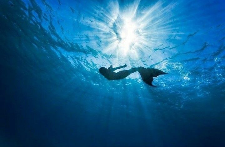 Pinterest, Manusia berenang dengan kostum mermaid (Foto:Guilherme)