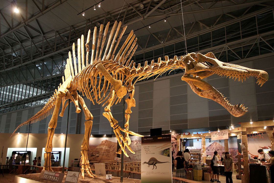 Pinterest, Replika Fosil Dinosaurus (Foto: Tanya Stewart)