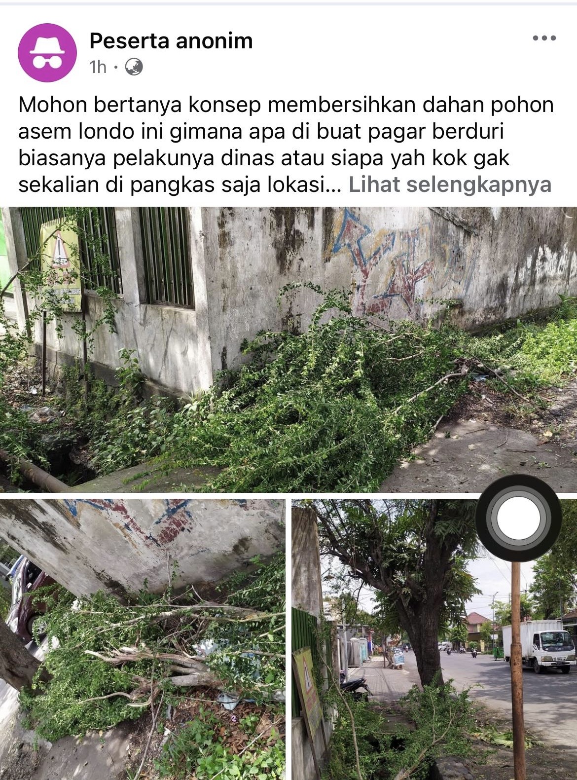 Kondisis sisa pohon yang dipangkas dan tak segera diangkut